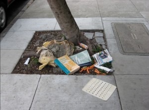  Sidewalk Economic Indicator